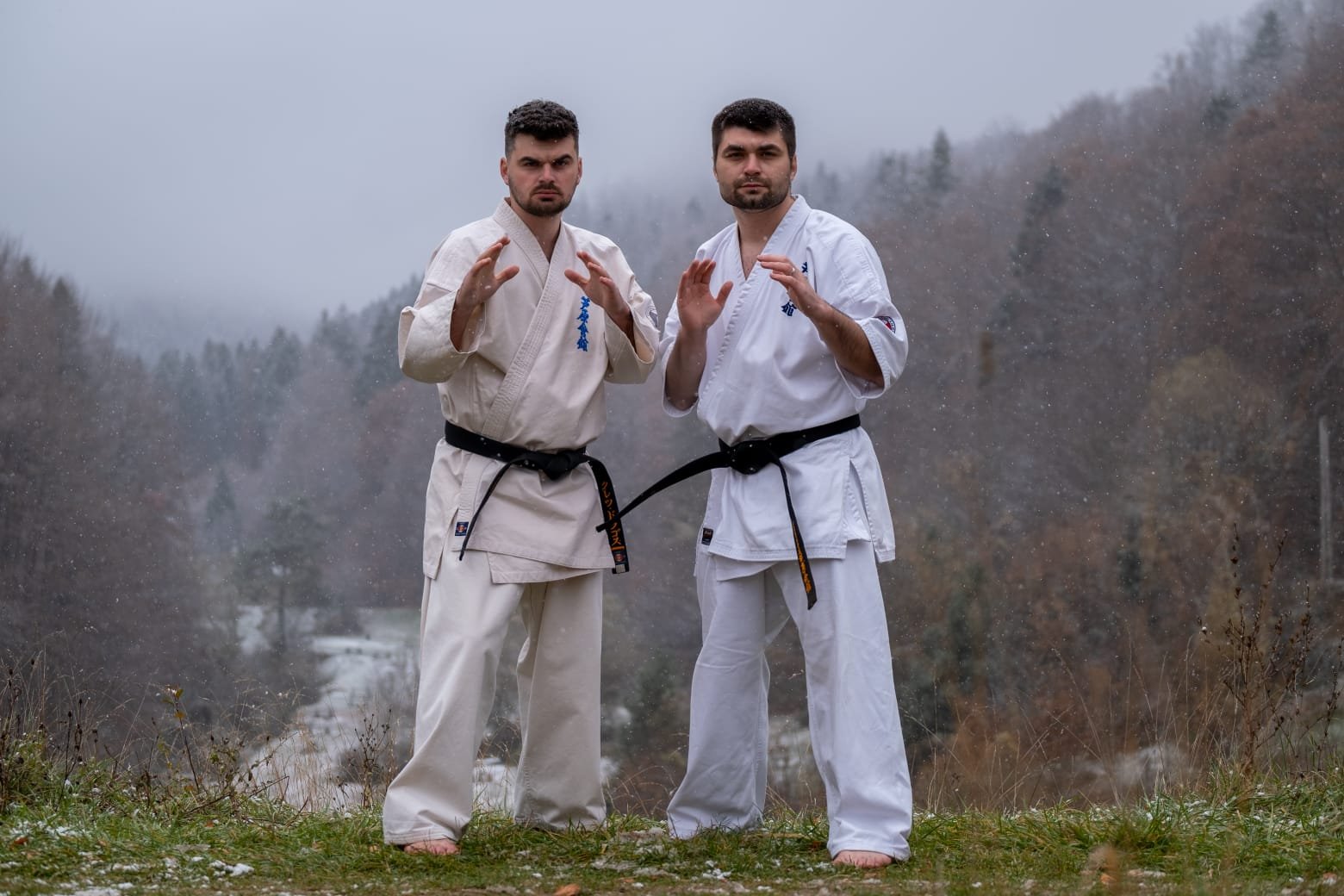 Rareș și Dragoș Crețu